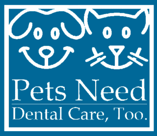 pets need dental Care too